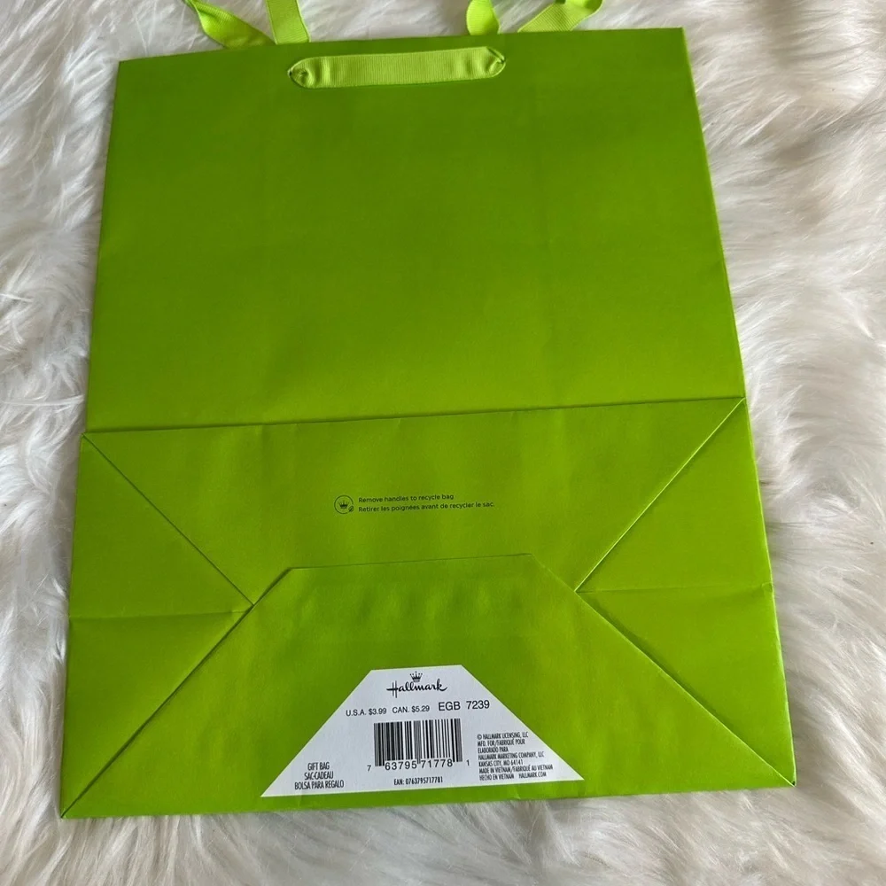 🩵5/$8 Vibrant Green gift Bag